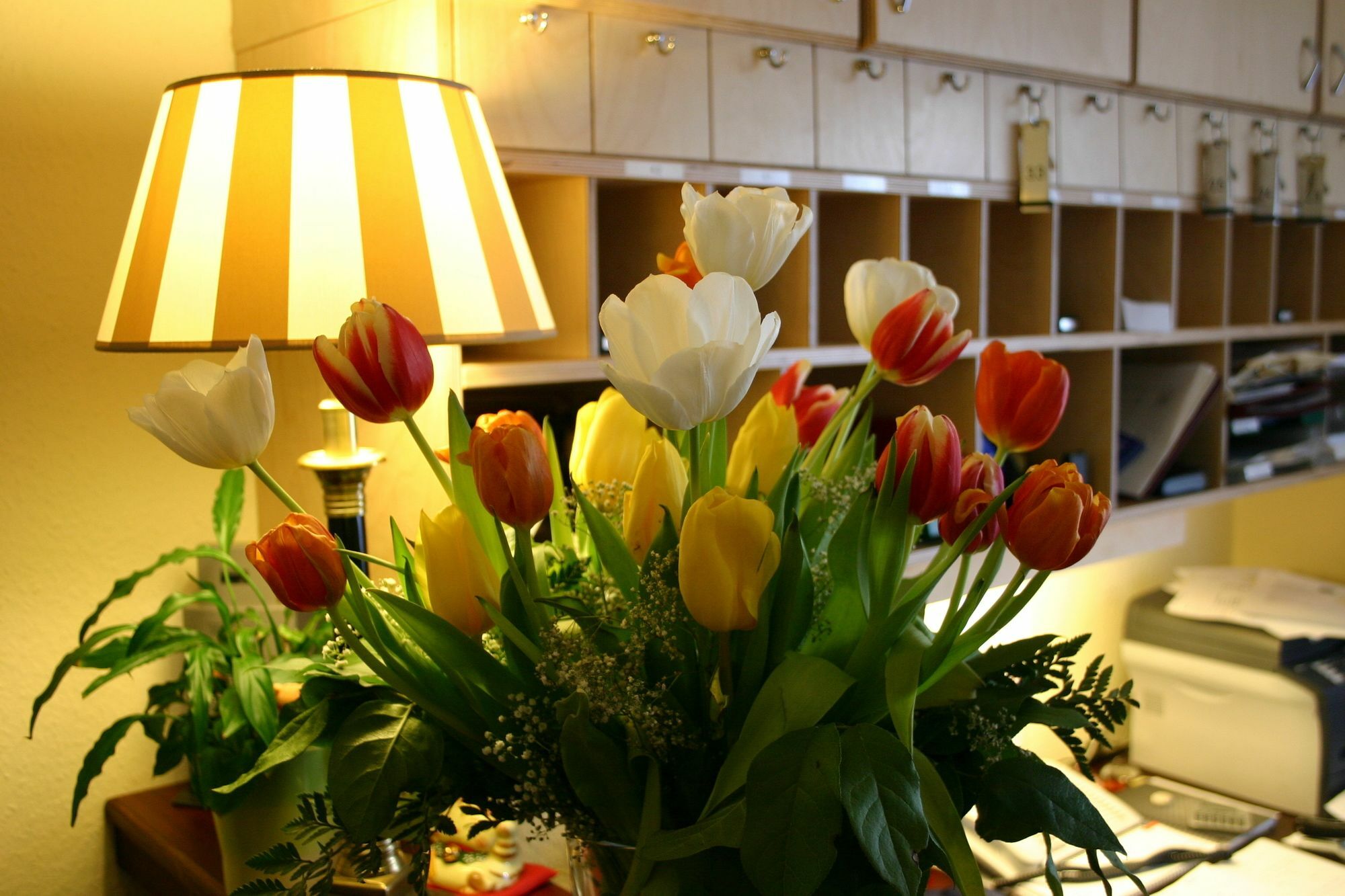 Hotel Loehndorf Бонн Екстер'єр фото